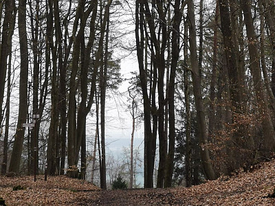 Bad Essen Meine Zeit 13