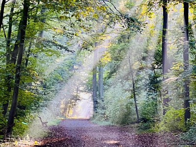 Bad Essen Meine Zeit 07