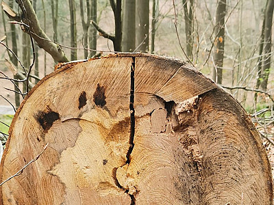 Bad Essen Meine Zeit 08