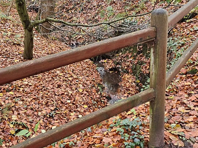 Bad Essen Meine Zeit 09